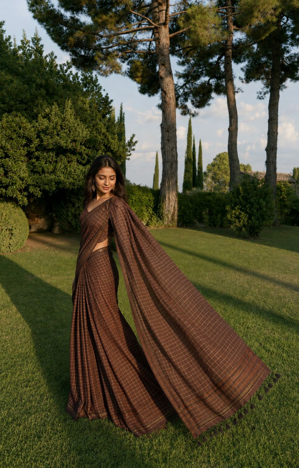 Midnight Mocha Zari Checks Mulmul Saree